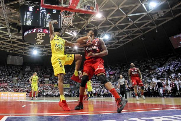 高度融合的 高度融合的