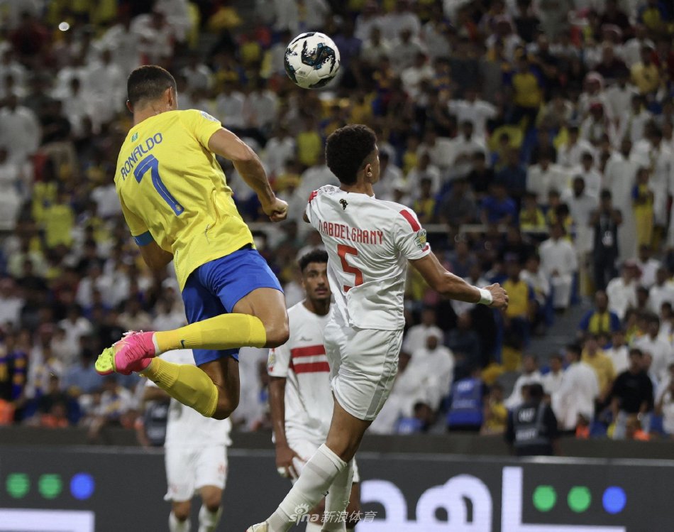 他们采取了 他们采取了